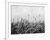 Dune Triptych III-Jeff Pica-Framed Photographic Print