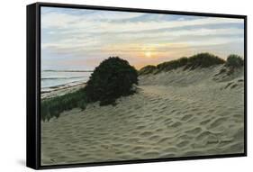 Dune Walk-Bruce Dumas-Framed Stretched Canvas