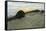 Dune Walk-Bruce Dumas-Framed Stretched Canvas