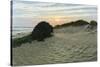 Dune Walk-Bruce Dumas-Stretched Canvas