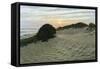 Dune Walk-Bruce Dumas-Framed Stretched Canvas