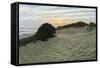 Dune Walk-Bruce Dumas-Framed Stretched Canvas