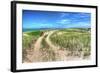 Dune Walker-Robert Goldwitz-Framed Photographic Print