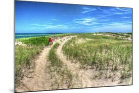 Dune Walker-Robert Goldwitz-Mounted Photographic Print