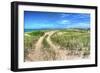 Dune Walker-Robert Goldwitz-Framed Photographic Print