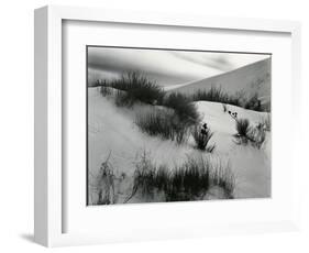 Dune, White Sands, New Mexico, c. 1940-Brett Weston-Framed Photographic Print