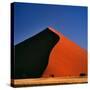 Dune-Gi0572-Stretched Canvas