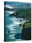 Dunedin Coast near Tunnel Beach, New Zealand-David Wall-Stretched Canvas