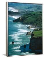 Dunedin Coast near Tunnel Beach, New Zealand-David Wall-Framed Photographic Print