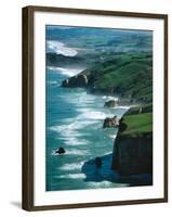 Dunedin Coast near Tunnel Beach, New Zealand-David Wall-Framed Photographic Print