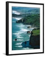 Dunedin Coast near Tunnel Beach, New Zealand-David Wall-Framed Photographic Print