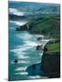 Dunedin Coast near Tunnel Beach, New Zealand-David Wall-Mounted Photographic Print