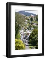 Dunedin Residential Hills-virsuziglis-Framed Photographic Print