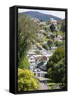 Dunedin Residential Hills-virsuziglis-Framed Stretched Canvas