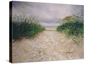 Dunes, Amrum, Germany, 2005-John Erskine-Stretched Canvas