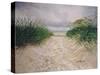 Dunes, Amrum, Germany, 2005-John Erskine-Stretched Canvas