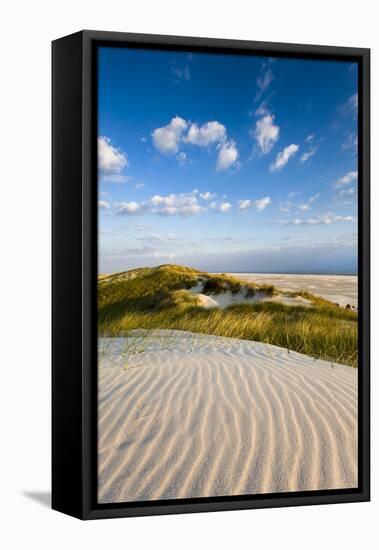 Dunes, Amrum Island, Northern Frisia, Schleswig-Holstein, Germany-Sabine Lubenow-Framed Stretched Canvas