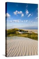 Dunes, Amrum Island, Northern Frisia, Schleswig-Holstein, Germany-Sabine Lubenow-Stretched Canvas