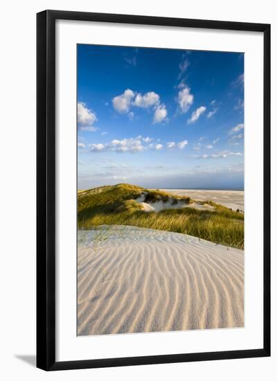 Dunes, Amrum Island, Northern Frisia, Schleswig-Holstein, Germany-Sabine Lubenow-Framed Photographic Print