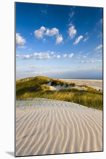 Dunes, Amrum Island, Northern Frisia, Schleswig-Holstein, Germany-Sabine Lubenow-Mounted Photographic Print