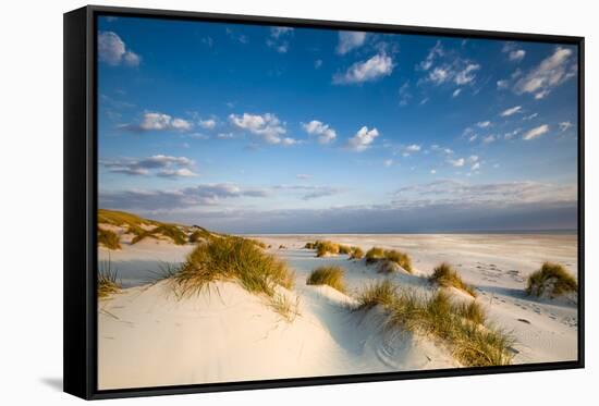 Dunes, Amrum Island, Northern Frisia, Schleswig-Holstein, Germany-Sabine Lubenow-Framed Stretched Canvas