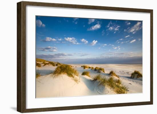 Dunes, Amrum Island, Northern Frisia, Schleswig-Holstein, Germany-Sabine Lubenow-Framed Photographic Print