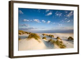 Dunes, Amrum Island, Northern Frisia, Schleswig-Holstein, Germany-Sabine Lubenow-Framed Photographic Print