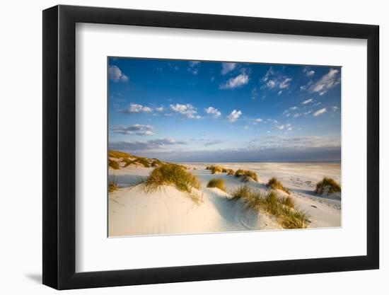 Dunes, Amrum Island, Northern Frisia, Schleswig-Holstein, Germany-Sabine Lubenow-Framed Photographic Print