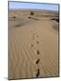 Dunes and Camp Under Tree in the Distance at Erg Al Hatin, Desert Trek, Draa Valley, Morocco-Jenny Pate-Mounted Photographic Print