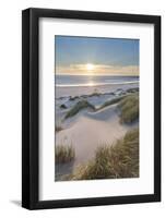 Dunes and dune grass at sunset. Nehalem State Park, Oregon.-Alan Majchrowicz-Framed Photographic Print