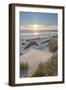 Dunes and dune grass at sunset. Nehalem State Park, Oregon.-Alan Majchrowicz-Framed Photographic Print