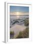 Dunes and dune grass at sunset. Nehalem State Park, Oregon.-Alan Majchrowicz-Framed Photographic Print