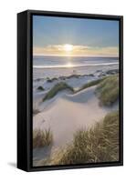 Dunes and dune grass at sunset. Nehalem State Park, Oregon.-Alan Majchrowicz-Framed Stretched Canvas