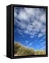 Dunes and Grasses, Mellon Udrigle, Wester Ross, Highland Region, Scotland, United Kingdom-Neale Clarke-Framed Stretched Canvas