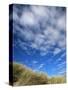 Dunes and Grasses, Mellon Udrigle, Wester Ross, Highland Region, Scotland, United Kingdom-Neale Clarke-Stretched Canvas