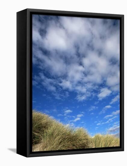 Dunes and Grasses, Mellon Udrigle, Wester Ross, Highland Region, Scotland, United Kingdom-Neale Clarke-Framed Stretched Canvas