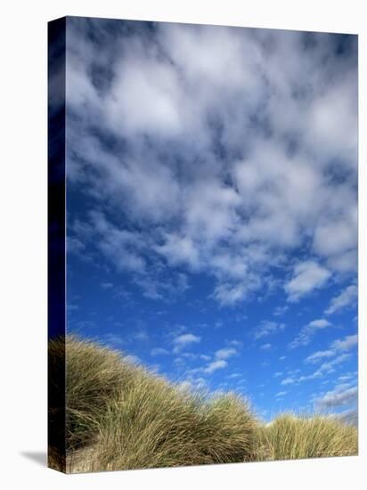 Dunes and Grasses, Mellon Udrigle, Wester Ross, Highland Region, Scotland, United Kingdom-Neale Clarke-Stretched Canvas