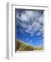 Dunes and Grasses, Mellon Udrigle, Wester Ross, Highland Region, Scotland, United Kingdom-Neale Clarke-Framed Photographic Print