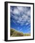 Dunes and Grasses, Mellon Udrigle, Wester Ross, Highland Region, Scotland, United Kingdom-Neale Clarke-Framed Photographic Print