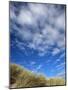 Dunes and Grasses, Mellon Udrigle, Wester Ross, Highland Region, Scotland, United Kingdom-Neale Clarke-Mounted Photographic Print