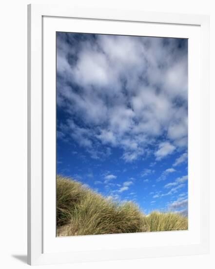 Dunes and Grasses, Mellon Udrigle, Wester Ross, Highland Region, Scotland, United Kingdom-Neale Clarke-Framed Photographic Print