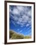 Dunes and Grasses, Mellon Udrigle, Wester Ross, Highland Region, Scotland, United Kingdom-Neale Clarke-Framed Photographic Print