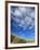 Dunes and Grasses, Mellon Udrigle, Wester Ross, Highland Region, Scotland, United Kingdom-Neale Clarke-Framed Photographic Print