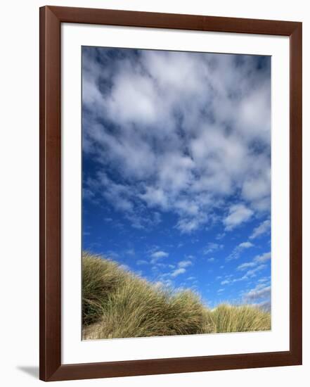 Dunes and Grasses, Mellon Udrigle, Wester Ross, Highland Region, Scotland, United Kingdom-Neale Clarke-Framed Photographic Print