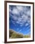 Dunes and Grasses, Mellon Udrigle, Wester Ross, Highland Region, Scotland, United Kingdom-Neale Clarke-Framed Photographic Print