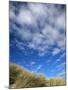 Dunes and Grasses, Mellon Udrigle, Wester Ross, Highland Region, Scotland, United Kingdom-Neale Clarke-Mounted Photographic Print