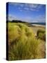 Dunes and Grasses, Mellon Udrigle, Wester Ross, Highlands Region, Scotland, UK, Europe-Neale Clarke-Stretched Canvas