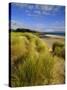 Dunes and Grasses, Mellon Udrigle, Wester Ross, Highlands Region, Scotland, UK, Europe-Neale Clarke-Stretched Canvas