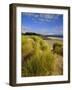 Dunes and Grasses, Mellon Udrigle, Wester Ross, Highlands Region, Scotland, UK, Europe-Neale Clarke-Framed Photographic Print