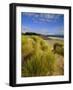 Dunes and Grasses, Mellon Udrigle, Wester Ross, Highlands Region, Scotland, UK, Europe-Neale Clarke-Framed Photographic Print